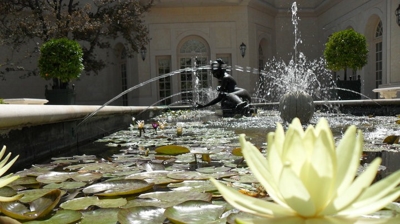 Koi Ponds & Water Features